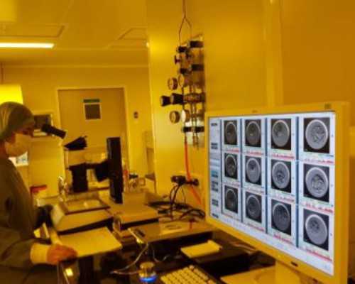 克罗米芬作用是什么克罗米芬促排卵成功率高达80%