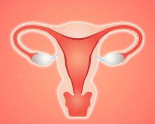 海口第三代试管婴儿技术怎么样?