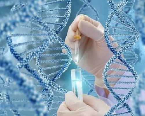 北京供卵中心：哪里有供卵中心_公立正规供卵医院