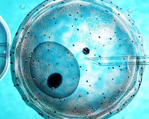 大龄供卵试管成功_有没有供卵交流群_试管婴儿能报销医保吗