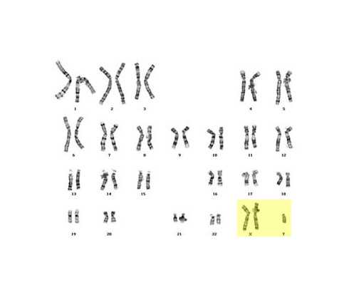 助孕供卵试管_供卵生儿子,鞍山供卵招聘试管婴儿