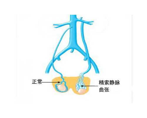 深圳正规供卵中心,深圳供卵试管婴儿单周费用明细一览，2026借卵试管生男孩费