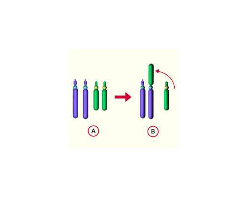 定西供卵试管（淮安供卵试管）