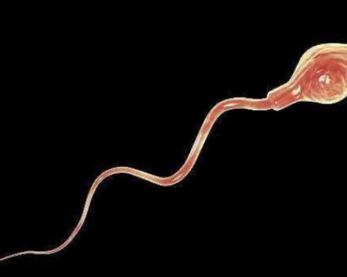 海口借卵代生儿子-浙江代生可靠吗