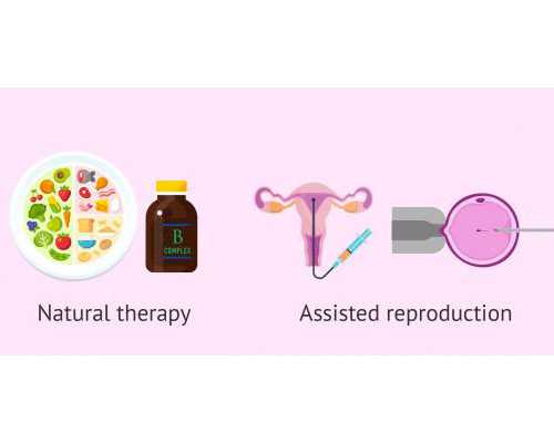 供卵中心收费多少_供卵自怀孩子像谁_【广东有哪些供卵机构】试管二次移植我