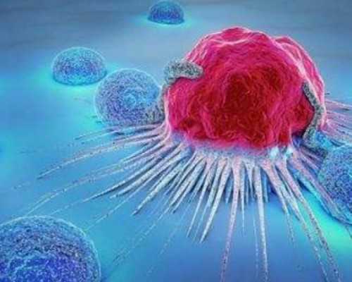 私立供卵_供卵试管后悔了_大理哪家医院可以做试管大理做试管医院排名