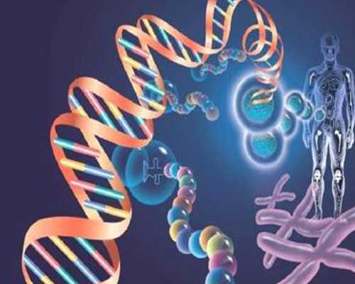 助孕试管供卵_供卵优质,北京供卵试管多少钱分析：探讨实现供卵试管经济考量