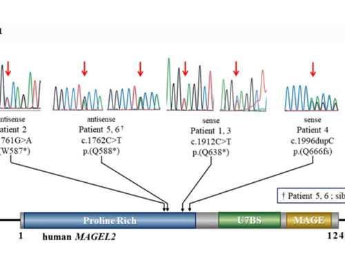 合法供卵医院_供卵医院有哪些,2026北京三代供卵试管生男孩医院名单,附供卵试