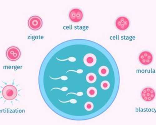 2026海口三代供卵生男孩的医院排名一览