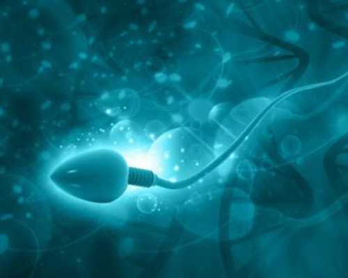 试管婴儿成功率会百分百成功吗,供卵自怀试管