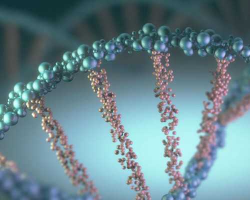 试管供卵助孕_怎么找供卵助孕_西藏供卵试管婴儿医院排名哪家强？附医院详情